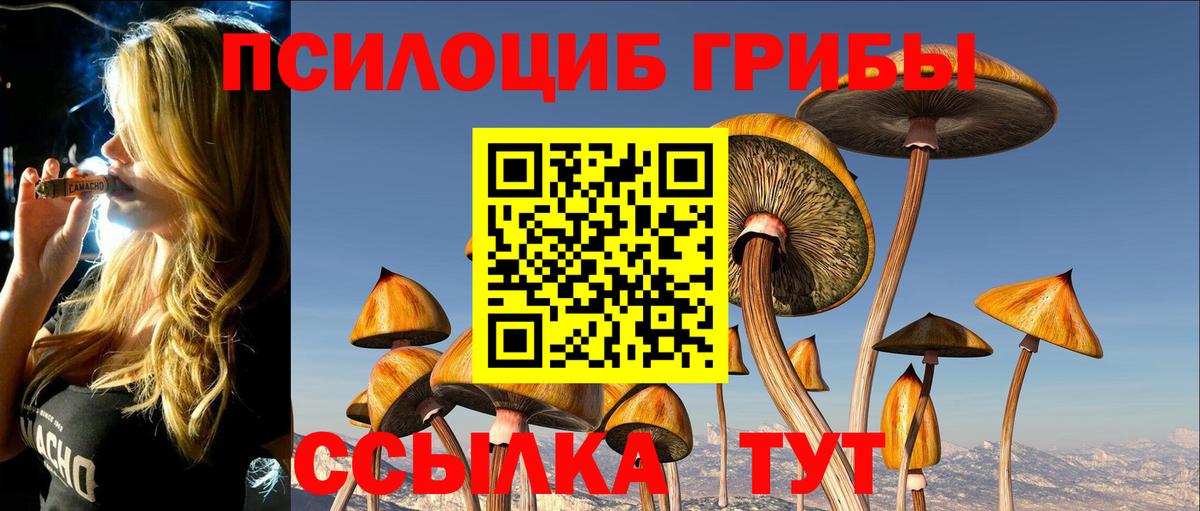 Каменск-Уральский  Псилоцибиновые грибы Psilocybine cubensis  Вход с VPN  Галлюциногенные грибы Psilocybe 
